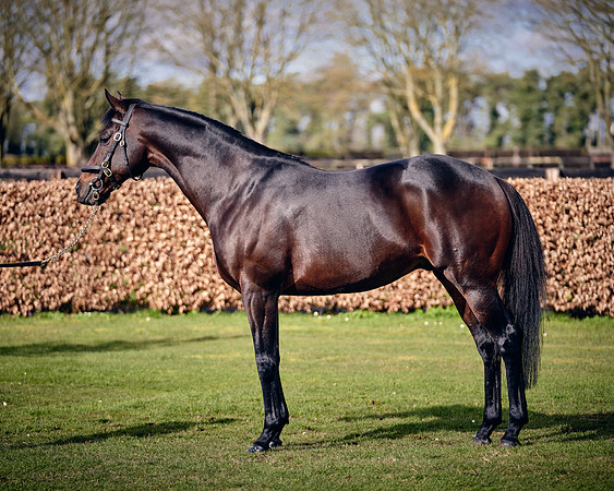 NATIONAL-STUD-TIME-TEST-DJ-_DJ70921