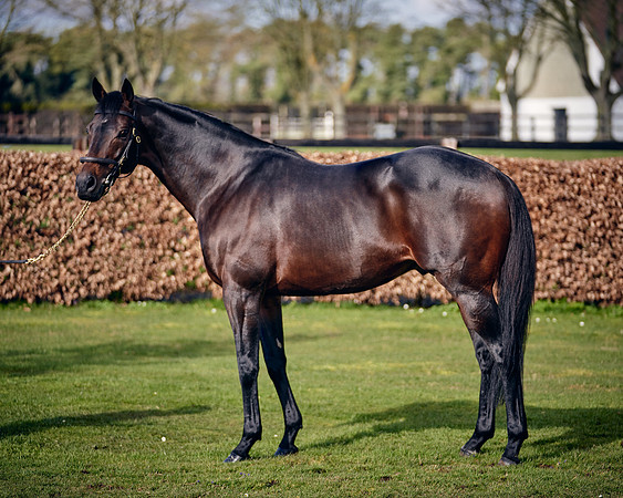 NATIONAL-STUD-TIME-TEST-DJ-_DJ70908