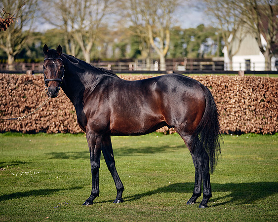 NATIONAL-STUD-TIME-TEST-DJ-_DJ70890