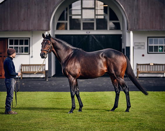 NATIONAL-STUD-TIME-TEST-DJ-_DJ70937