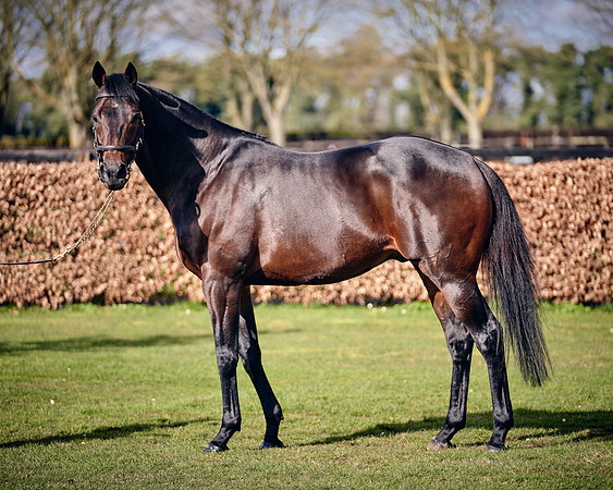 NATIONAL-STUD-TIME-TEST-DJ-_DJ70929