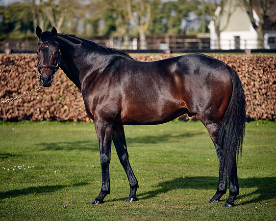 NATIONAL-STUD-TIME-TEST-DJ-_DJ70891