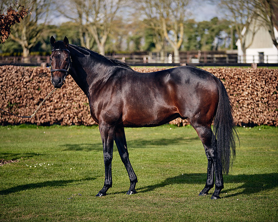 NATIONAL-STUD-TIME-TEST-DJ-_DJ70888