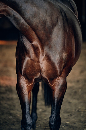 NATIONAL-STUD-TIME-TEST-DJ-_DJ71041