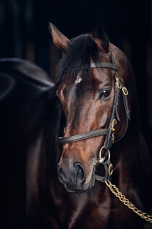 NATIONAL-STUD-TIME-TEST-DJ-_DJ71002