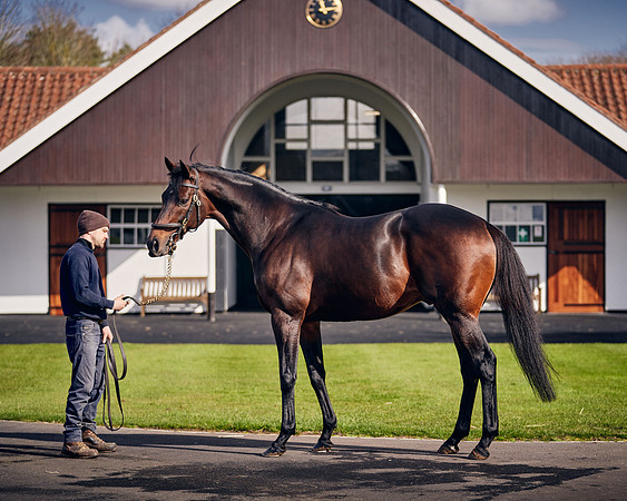 NATIONAL-STUD-TIME-TEST-DJ-_DJ70948