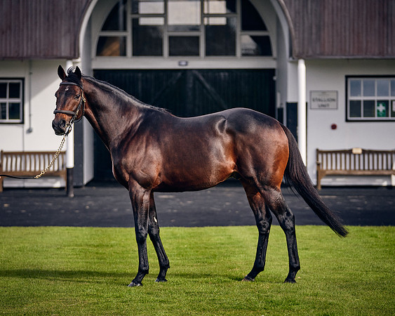 NATIONAL-STUD-TIME-TEST-DJ-_DJ70937 1