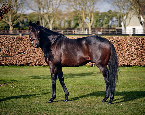 NATIONAL-STUD-TIME-TEST-DJ-_DJ70889