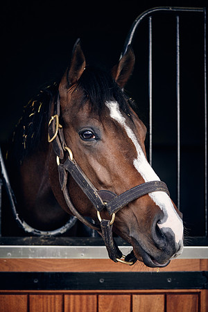 NATIONAL-STUD-TIME-TEST-DJ-_DJ71137
