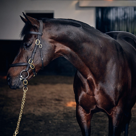 NATIONAL-STUD-TIME-TEST-DJ-_DJ71072