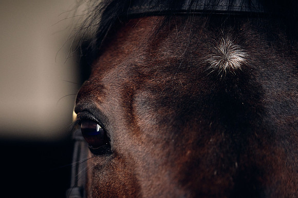 NATIONAL-STUD-TIME-TEST-DJ-_DJ71086