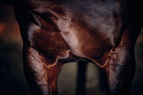NATIONAL-STUD-TIME-TEST-DJ-_DJ71101