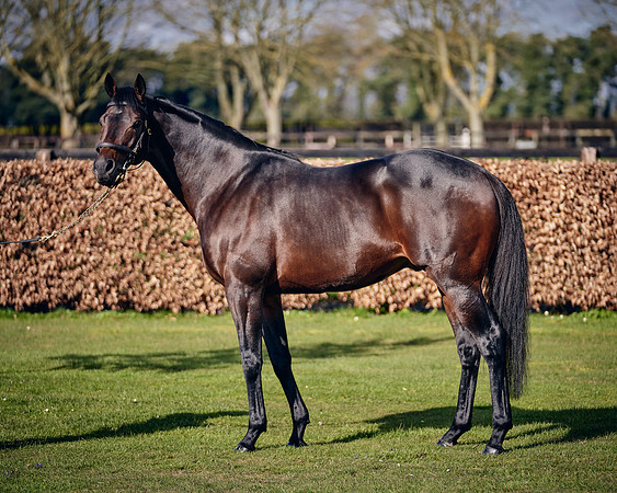 NATIONAL-STUD-TIME-TEST-DJ-_DJ70893