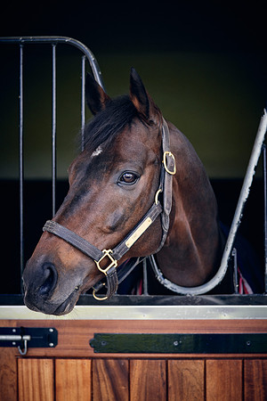 NATIONAL-STUD-TIME-TEST-DJ-_DJ71124