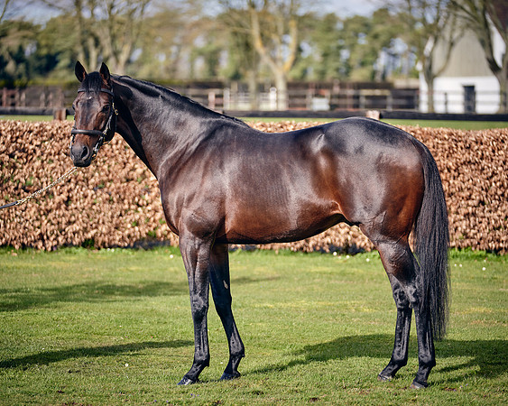 NATIONAL-STUD-TIME-TEST-DJ-_DJ70906