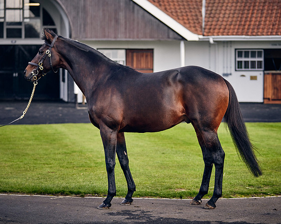 NATIONAL-STUD-TIME-TEST-DJ-_DJ70969