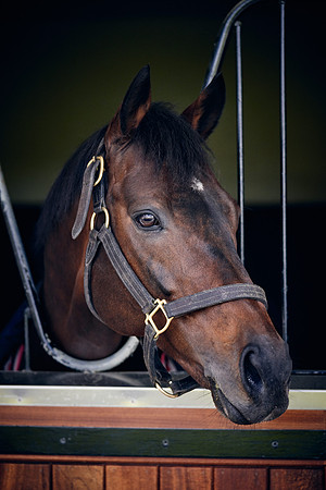 NATIONAL-STUD-TIME-TEST-DJ-_DJ71134