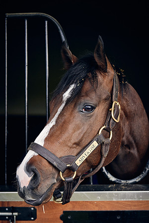 NATIONAL-STUD-TIME-TEST-DJ-_DJ71138