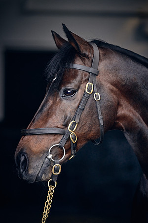 NATIONAL-STUD-TIME-TEST-DJ-_DJ71079