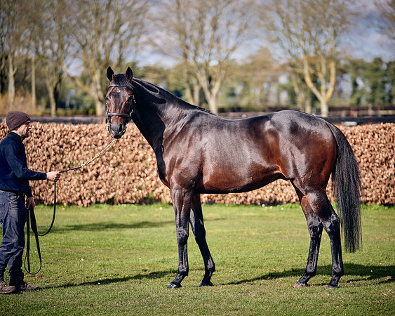 NATIONAL-STUD-TIME-TEST-DJ-_DJ70924