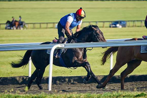 2022-06-11-Dominic-James-0156