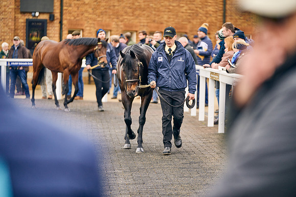 2022-02-03-Dominic-James-0549