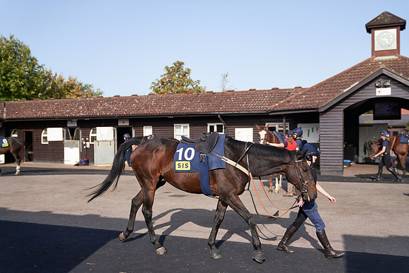 17th-Sept-Dominic-James-02771