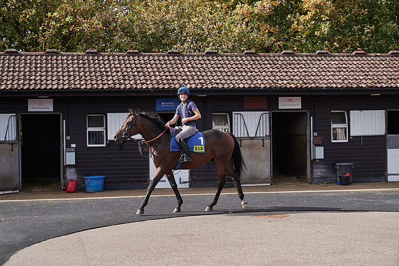 17th-Sept-Dominic-James-08027