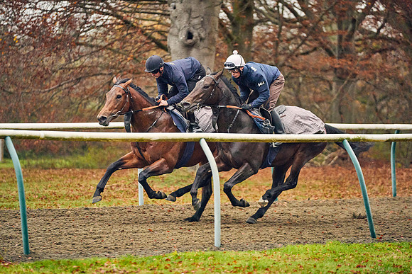2021-11-24-Dominic-James-2285