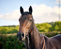 010B Andrew Balding