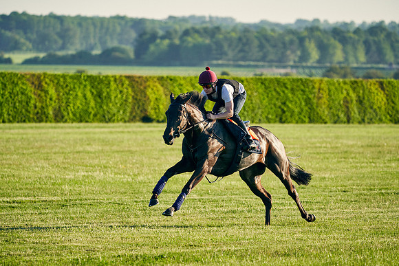 SEA-KARATS-Cieren-Fallon-2021-06-09-Dominic-James-0580.jpg
