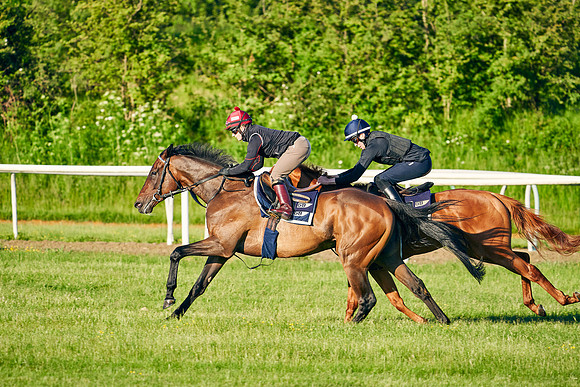 LOSTWITHIEL-HOLLIE-DOYLE-2021-06-09-Dominic-James-1144.jpg
