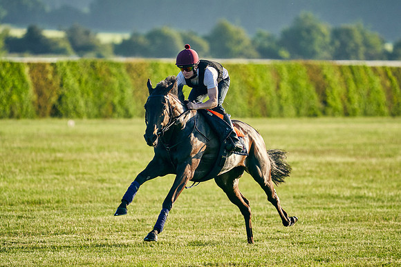 SEA-KARATS-Cieren-Fallon-2021-06-09-Dominic-James-0568.jpg