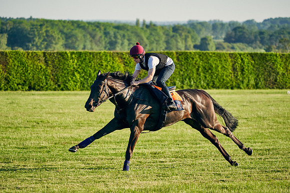 SEA-KARATS-Cieren-Fallon-2021-06-09-Dominic-James-0599.jpg
