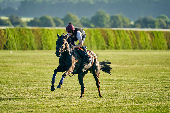 SEA-KARATS-Cieren-Fallon-2021-06-09-Dominic-James-0567.jpg