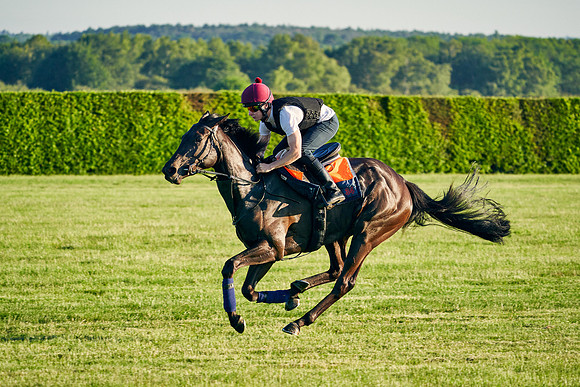 SEA-KARATS-Cieren-Fallon-2021-06-09-Dominic-James-0604.jpg