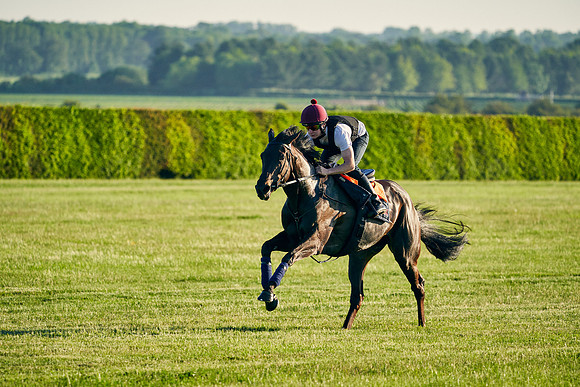 SEA-KARATS-Cieren-Fallon-2021-06-09-Dominic-James-0579.jpg