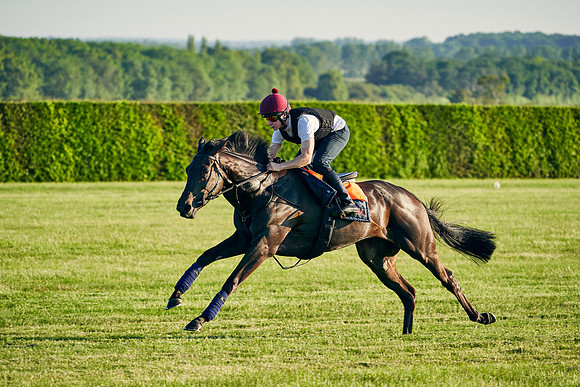 SEA-KARATS--Cieren-Fallon-2021-06-09-Dominic-James-0598.jpg