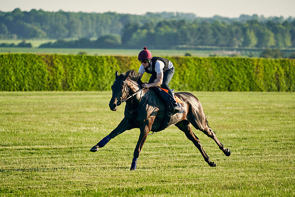 SEA-KARATS-Cieren-Fallon-2021-06-09-Dominic-James-0581.jpg