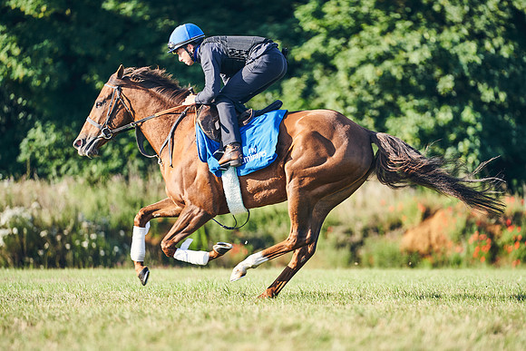 15TH-JULY-Dominic-James-0783
