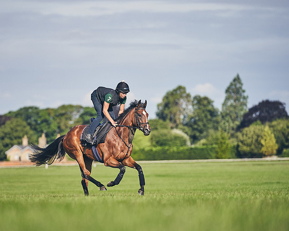 15TH-JULY-Dominic-James-0905