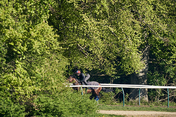 NEWMARKET-GALLOPS-22nd-APRIL-DJ-3128