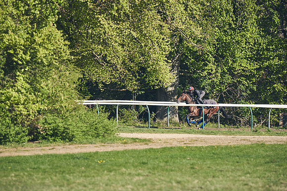 NEWMARKET-GALLOPS-22nd-APRIL-DJ-3124