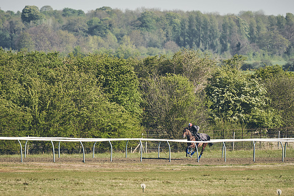 NEWMARKET-GALLOPS-22nd-APRIL-DJ-3096