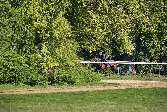 NEWMARKET-GALLOPS-22nd-APRIL-DJ-3127