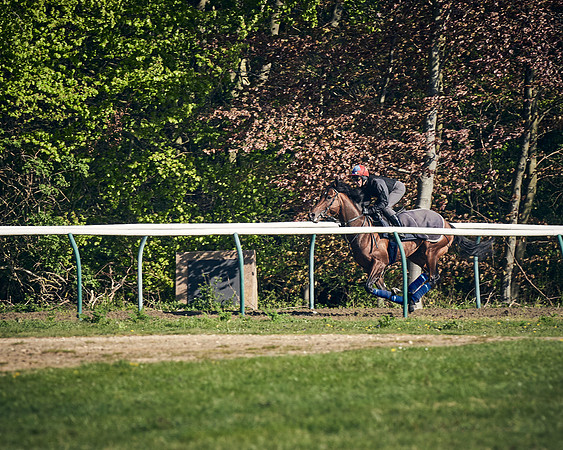 NEWMARKET-GALLOPS-22nd-APRIL-DJ-3118