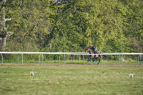 NEWMARKET-GALLOPS-22nd-APRIL-DJ-3111