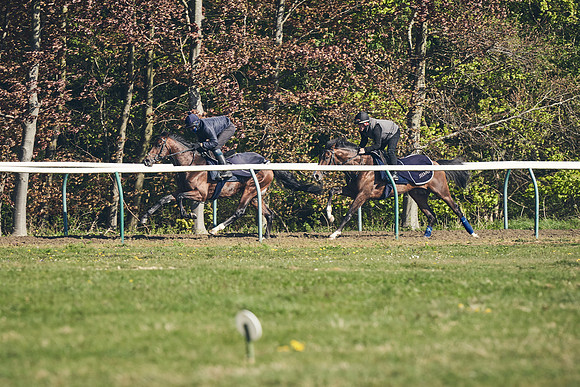 NEWMARKET-GALLOPS-22nd-APRIL-DJ-3261