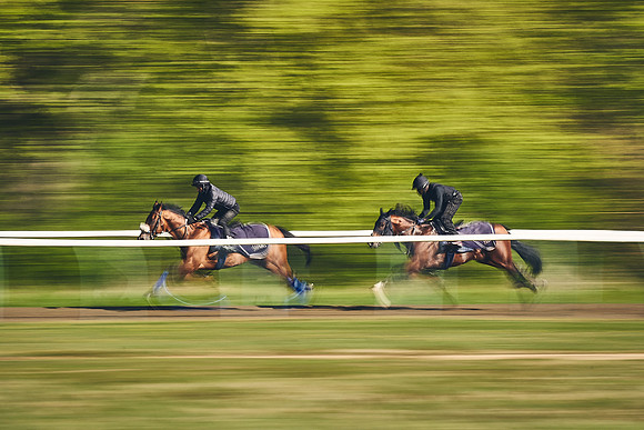 NEWMARKET-GALLOPS-22nd-APRIL-DJ-3284