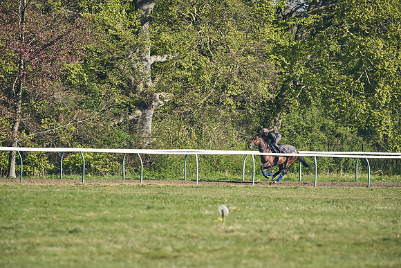 NEWMARKET-GALLOPS-22nd-APRIL-DJ-3112